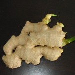 Gingembre01